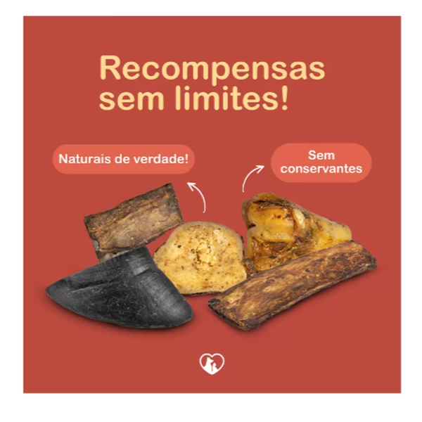 Petiscos Sortidos 8 unidades Churrasquito Petisco para Cães miniatura 2