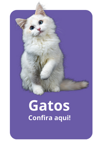 gatos 200 x 295 px