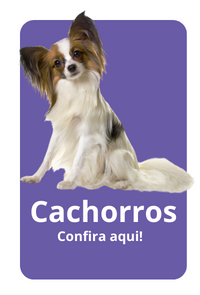 cachorros