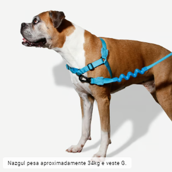 Peitoral Zee Dog antipuxão - Ultimate Blue