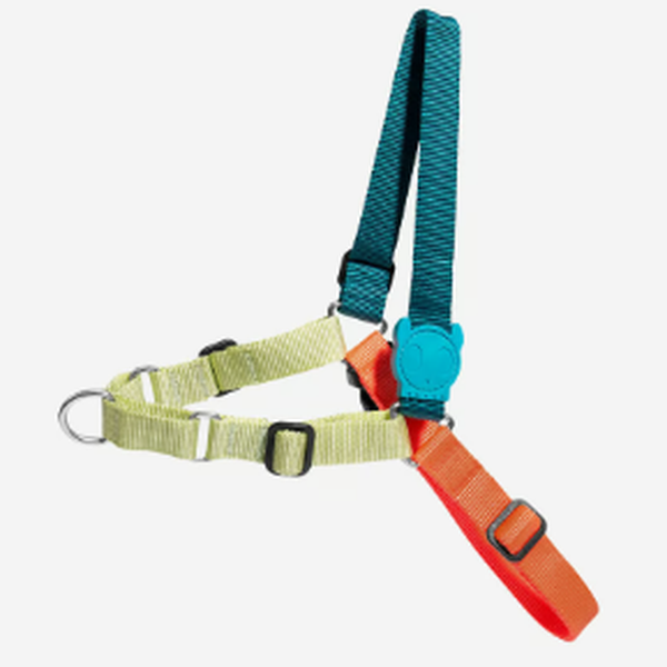 Peitoral Zee Dog antipuxão - Small (P) - Jumper